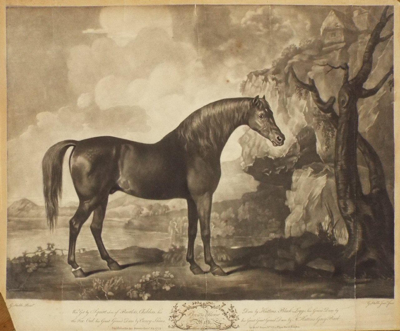 Mezzotint - Brown Horse Mask - Stubbs